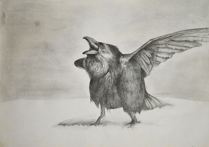 Artist Shows His Progression From 2 Years Old To 28 (Interview) Artist Shows His Progression From 2 Years Old To 28 (Interview)