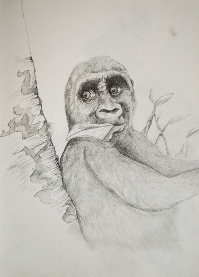 Artist Shows His Progression From 2 Years Old To 28 (Interview) Artist Shows His Progression From 2 Years Old To 28 (Interview)