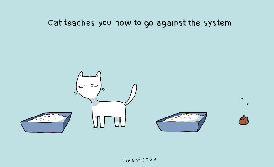 21 Benefits Of Having A Cat