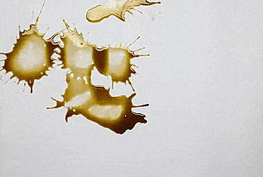 Pareidolia: I Draw The Images I See In Stains