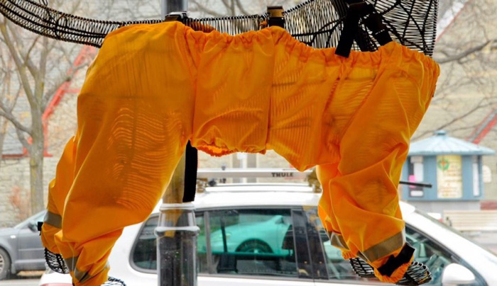 Riddle Finally Solved: Dogs Should Wear Pants Like This!