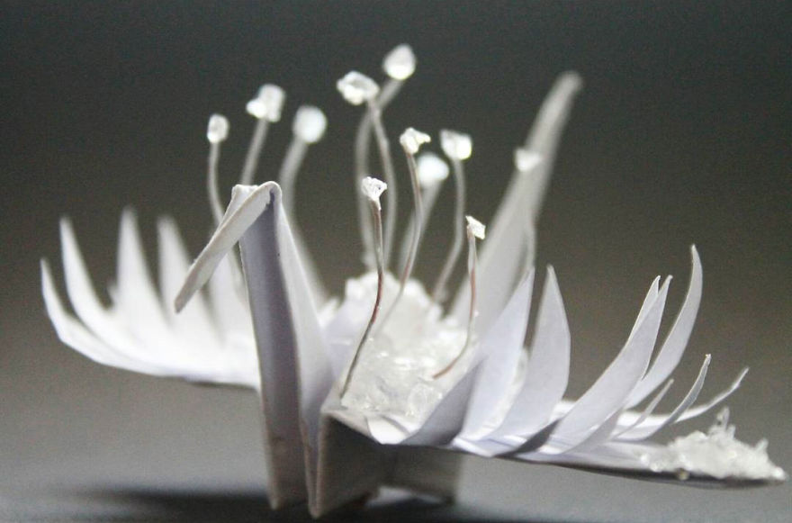 I Made An Origami Crane To Describe Each Day For The Past 365 Days I Made An Origami Crane To Describe Each Day For The Past 365 Days