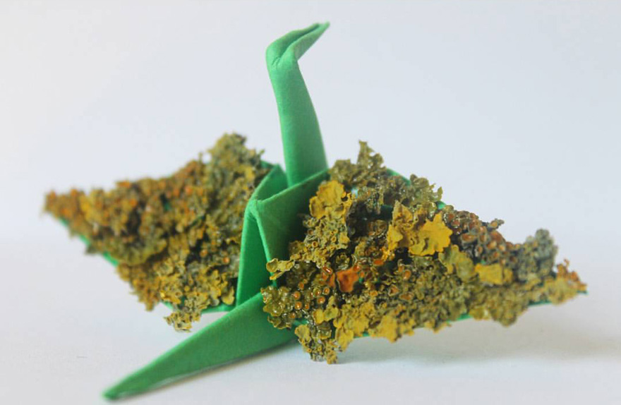 I Made An Origami Crane To Describe Each Day For The Past 365 Days I Made An Origami Crane To Describe Each Day For The Past 365 Days