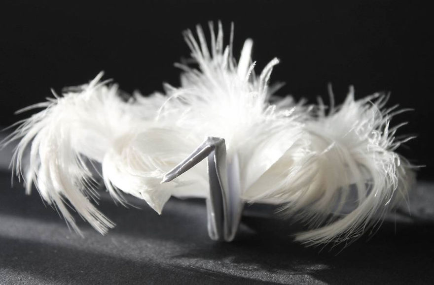 I Made An Origami Crane To Describe Each Day For The Past 365 Days I Made An Origami Crane To Describe Each Day For The Past 365 Days