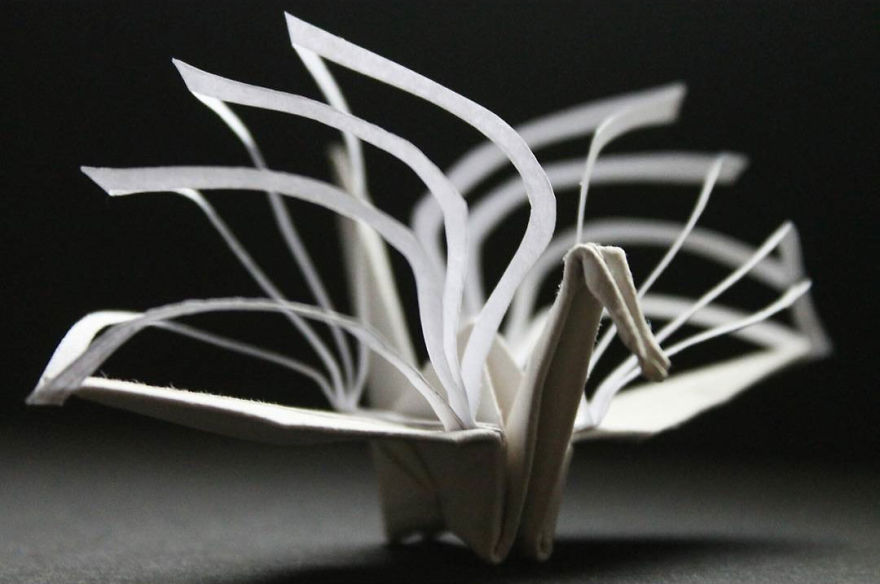 I Made An Origami Crane To Describe Each Day For The Past 365 Days I Made An Origami Crane To Describe Each Day For The Past 365 Days