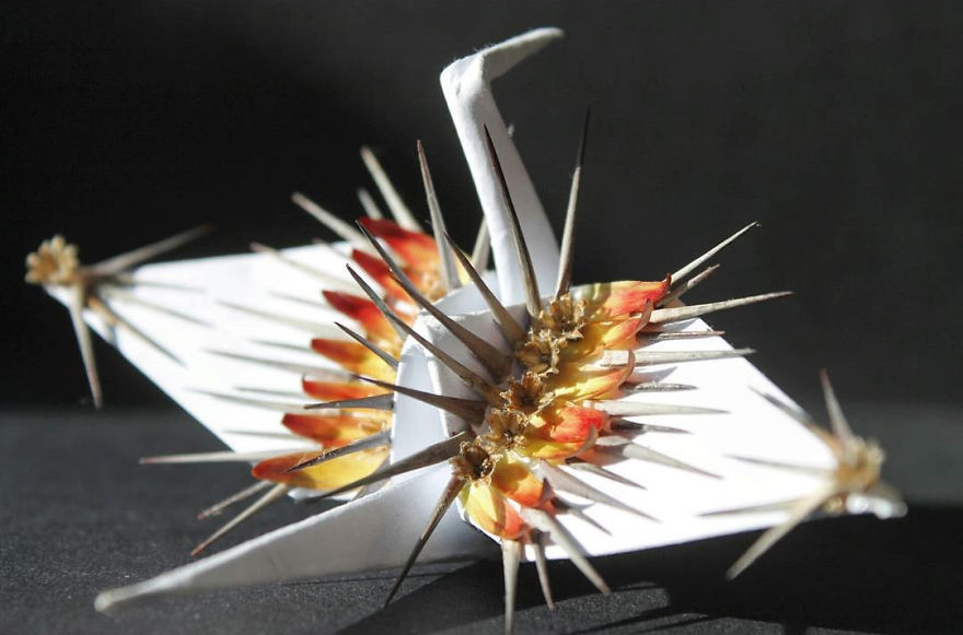 I Made An Origami Crane To Describe Each Day For The Past 365 Days I Made An Origami Crane To Describe Each Day For The Past 365 Days