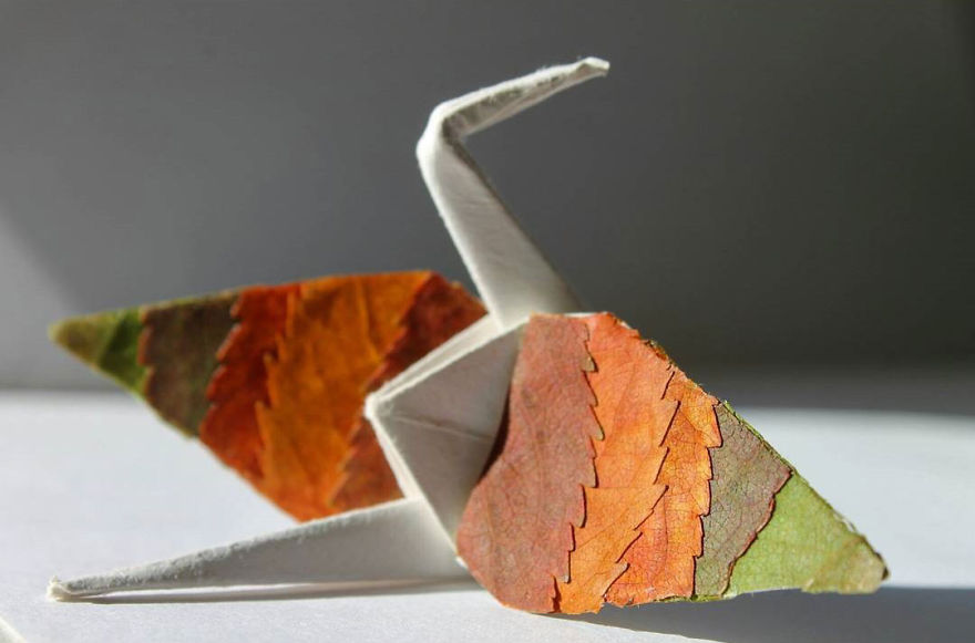 I Made An Origami Crane To Describe Each Day For The Past 365 Days I Made An Origami Crane To Describe Each Day For The Past 365 Days