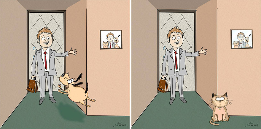 Cats Vs Dogs: 6 Differences Illustrated By Bird Born