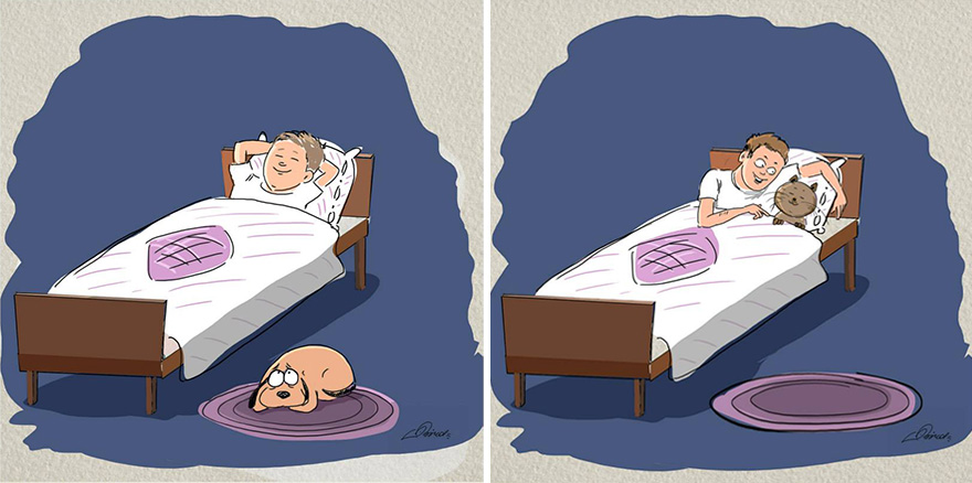 Cats Vs Dogs: 6 Differences Illustrated By Bird Born