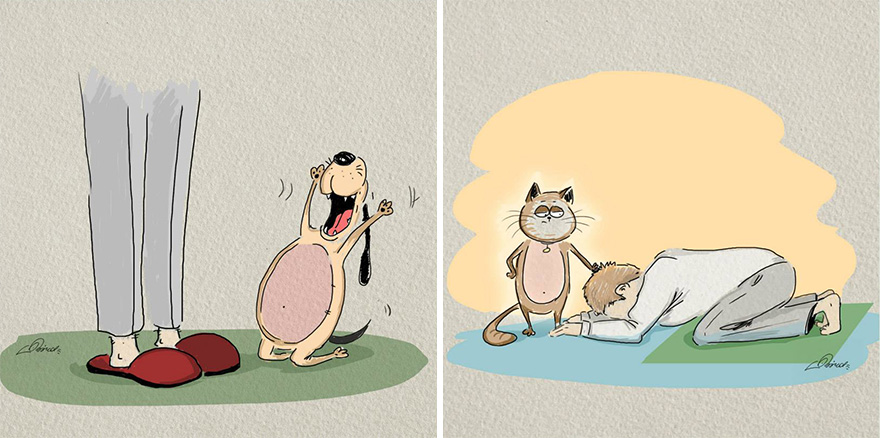 Cats Vs Dogs: 6 Differences Illustrated By Bird Born