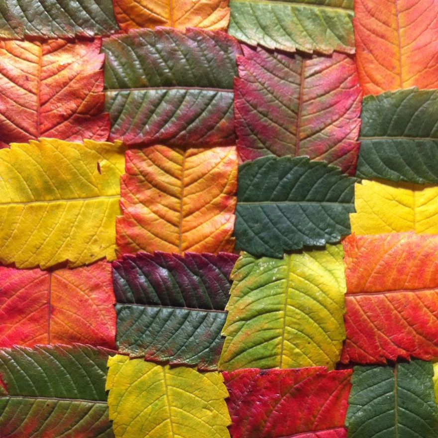 Everyday Objects Laying Around My House Turned Into Art Everyday Objects Laying Around My House Turned Into Art