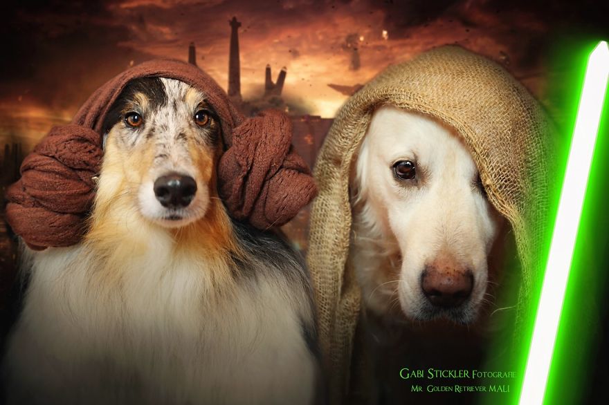 Yes, Dogs Also Have Best Friends! I Want To Show You My Golden Retriever Mali’s Friends Yes, Dogs Also Have Best Friends! I Want To Show You My Golden Retriever Mali’s Friends