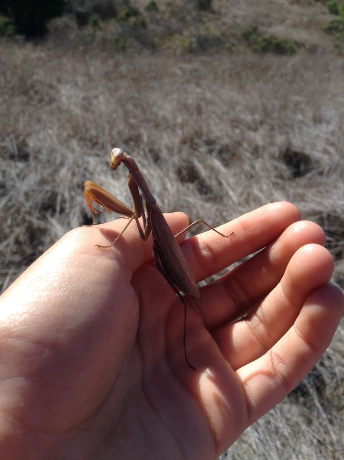 80 Photos That Prove 2015 Wasn’t The Worst Year After All 80 Photos That Prove 2015 Wasn’t The Worst Year After All