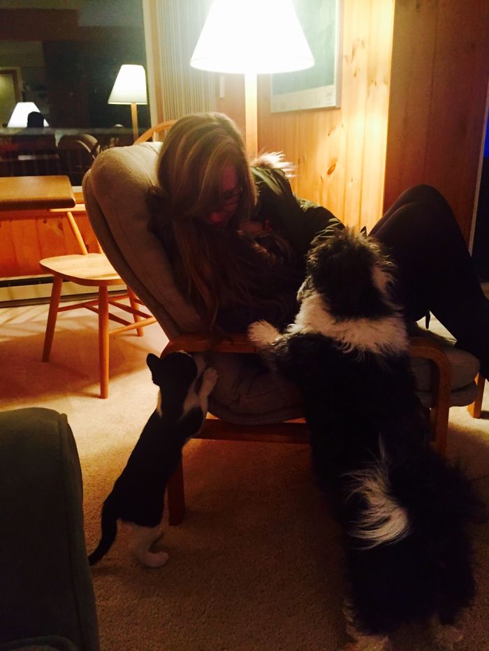 80 Photos That Prove 2015 Wasn’t The Worst Year After All 80 Photos That Prove 2015 Wasn’t The Worst Year After All