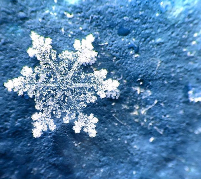 Magic Of Snow: I Try To Capture A Perfect Snowflake