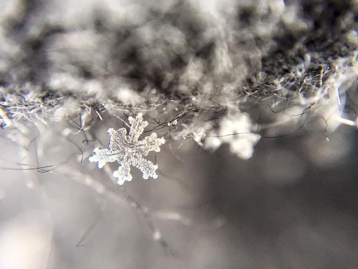 Magic Of Snow: I Try To Capture A Perfect Snowflake