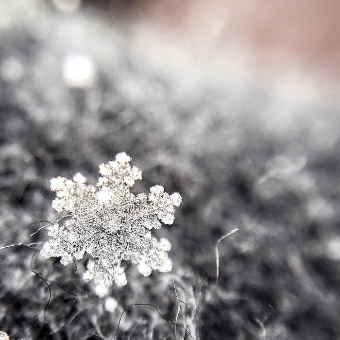 Magic Of Snow: I Try To Capture A Perfect Snowflake