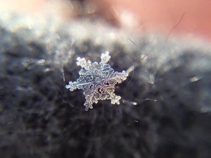 Magic Of Snow: I Try To Capture A Perfect Snowflake
