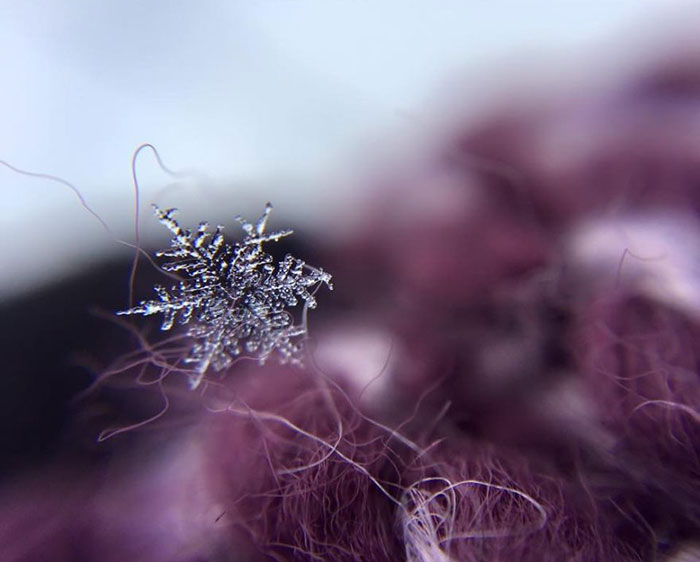 Magic Of Snow: I Try To Capture A Perfect Snowflake