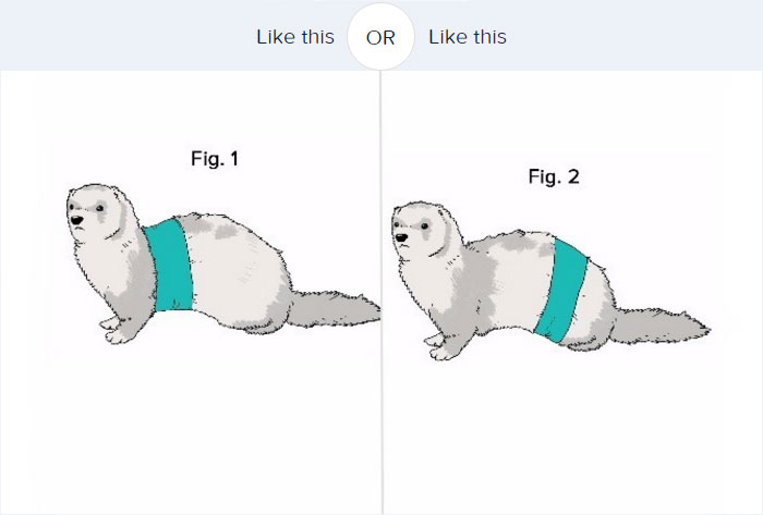 Time For Serious Questions: How A Dog Should Wear Pants? Time For Serious Questions: How A Dog Should Wear Pants?