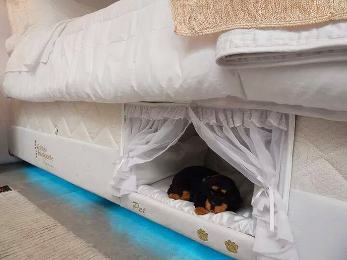 This Bed Has A Tiny Compartment For Your Pet So That You Can Sleep Together This Bed Has A Tiny Compartment For Your Pet So That You Can Sleep Together