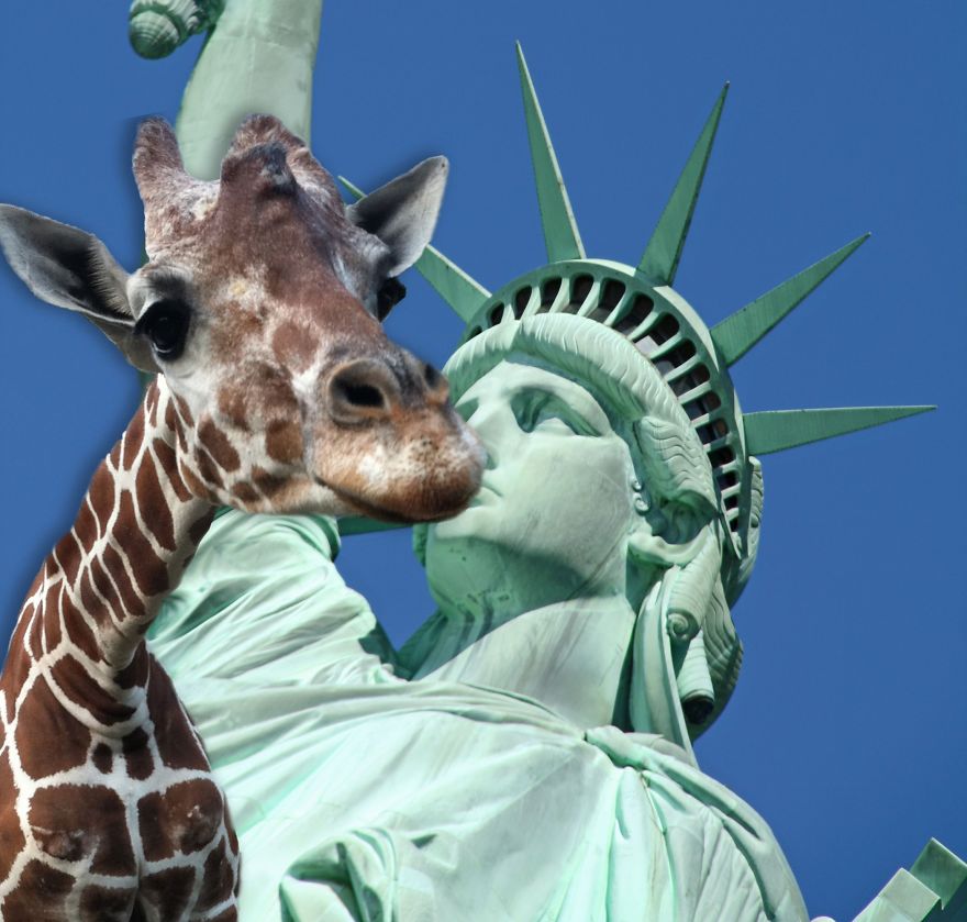 Help This Giraffe Leave The Zoo & Visit Places Around Your Home Help This Giraffe Leave The Zoo & Visit Places Around Your Home