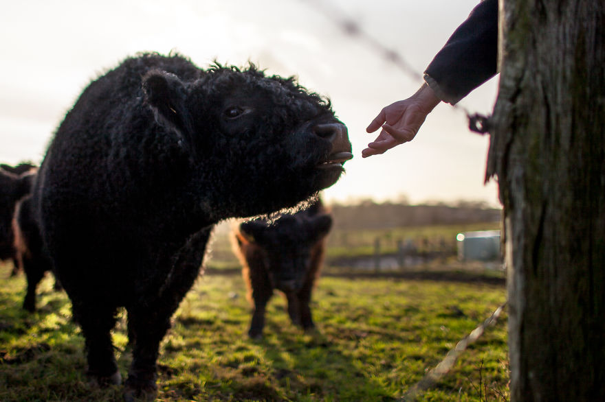 Wow, They&#8217;re So Fluffy And They Live On Our Farm