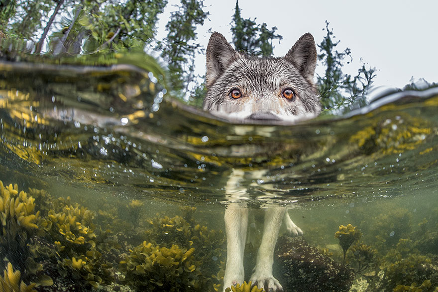 National Geographic’s Top 20 Photos Of 2015 National Geographic’s Top 20 Photos Of 2015