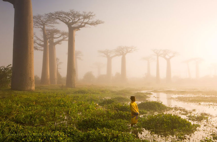 National Geographic&#8217;s Top 20 Photos Of 2015