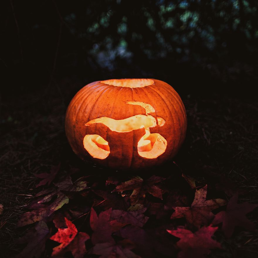 I Create Motorcycles From Everyday Objects I Create Motorcycles From Everyday Objects