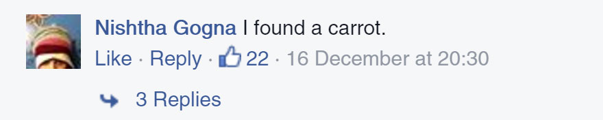 Finding The Panda In This Puzzle Is Just Too Hard For Some People