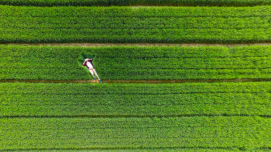 25 Of The Best Drone Photos Shot In 2015 25 Of The Best Drone Photos Shot In 2015