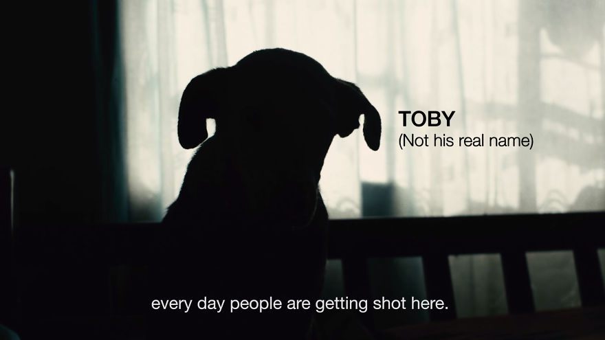 Dog Takes A Bullet To Save A Little Kid