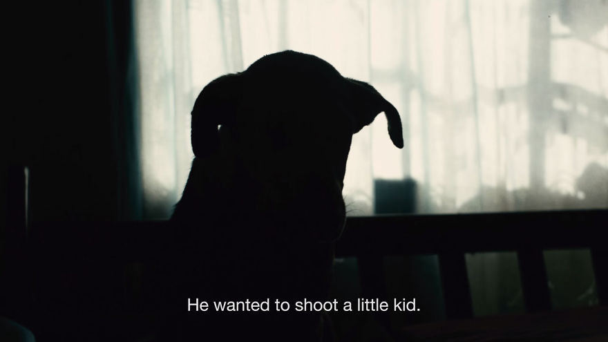 Dog Takes A Bullet To Save A Little Kid
