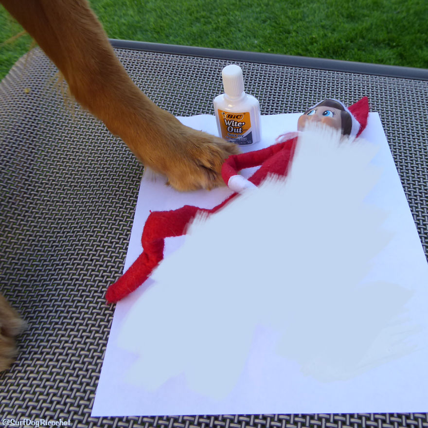 My Dogs Are Getting Revenge On Elf On The Shelf My Dogs Are Getting Revenge On Elf On The Shelf