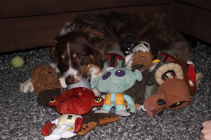 Mark Zuckerberg’s Baby Dressed As Jedi Inspires People To Share Their Star Wars Babies Mark Zuckerberg’s Baby Dressed As Jedi Inspires People To Share Their Star Wars Babies