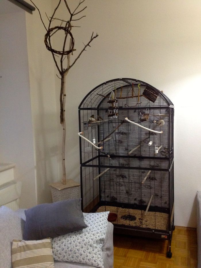 Post Your Creative Christmas Trees Here! Post Your Creative Christmas Trees Here!