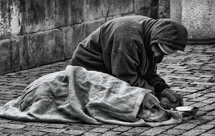 49 Photos That Prove Dogs Love You No Matter How Much Money You Don’t Have 49 Photos That Prove Dogs Love You No Matter How Much Money You Don’t Have