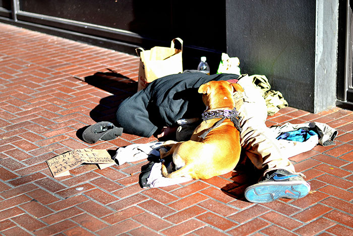 49 Photos That Prove Dogs Love You No Matter How Much Money You Don’t Have 49 Photos That Prove Dogs Love You No Matter How Much Money You Don’t Have