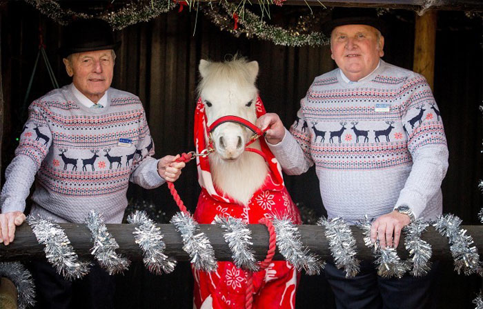 Foursie: New Festive Onesie For Ponies To Keep Them Warm Foursie: New Festive Onesie For Ponies To Keep Them Warm