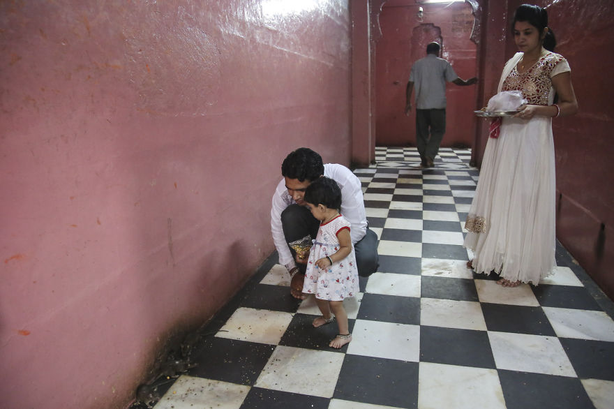 20,000 Rats Temple In India That I Visited Despite My Hygiene Worries