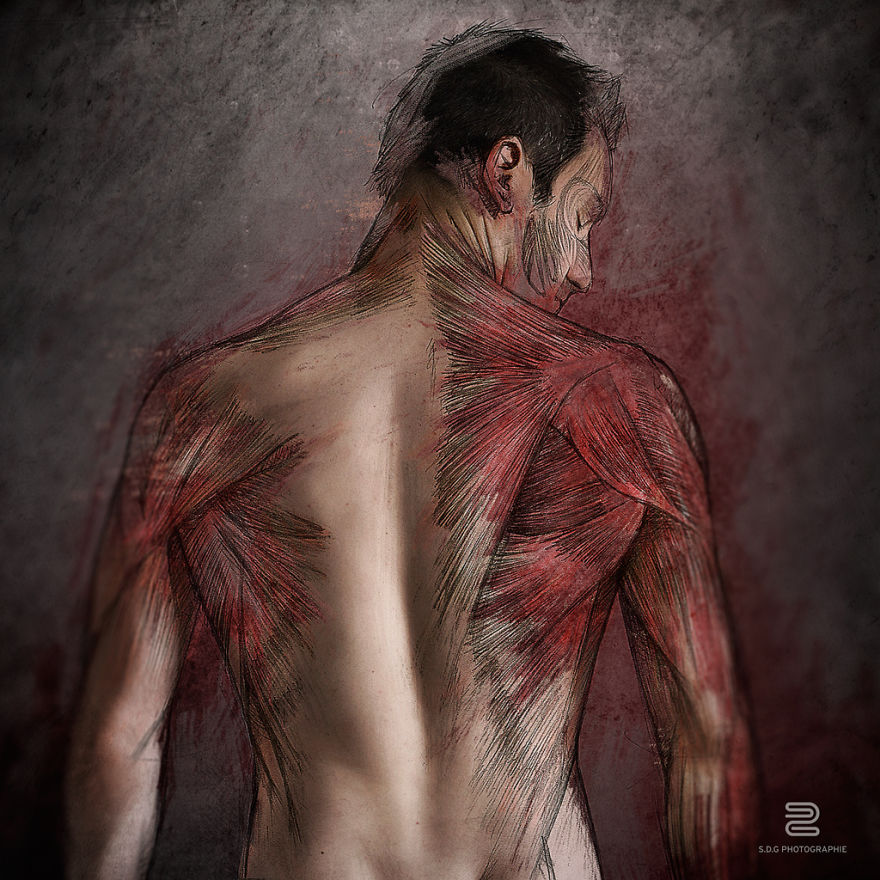 I Study Human Muscles By Drawing Them On My Selfies