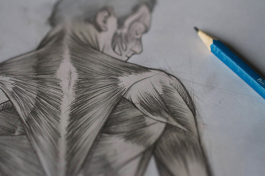 I Study Human Muscles By Drawing Them On My Selfies