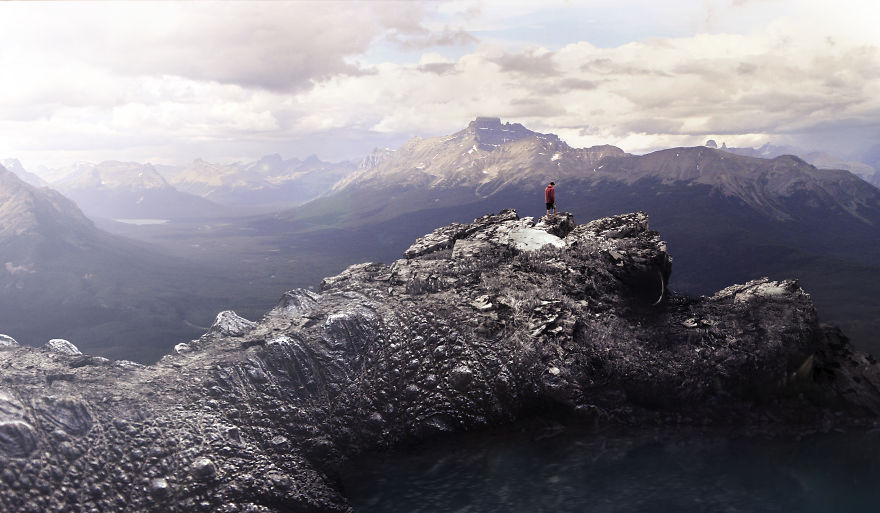 I Photograph Zoo Animals And Turn Them Into Surreal Images I Photograph Zoo Animals And Turn Them Into Surreal Images