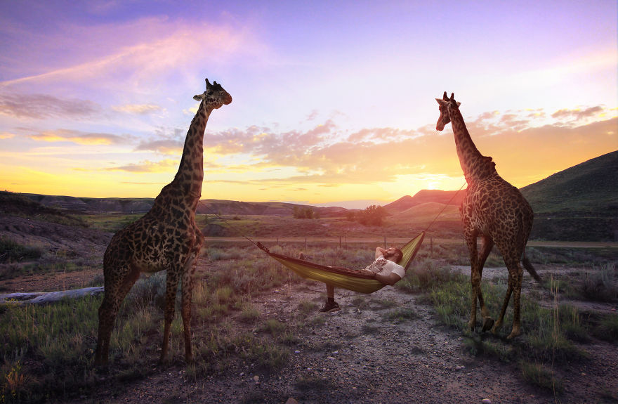 I Photograph Zoo Animals And Turn Them Into Surreal Images I Photograph Zoo Animals And Turn Them Into Surreal Images