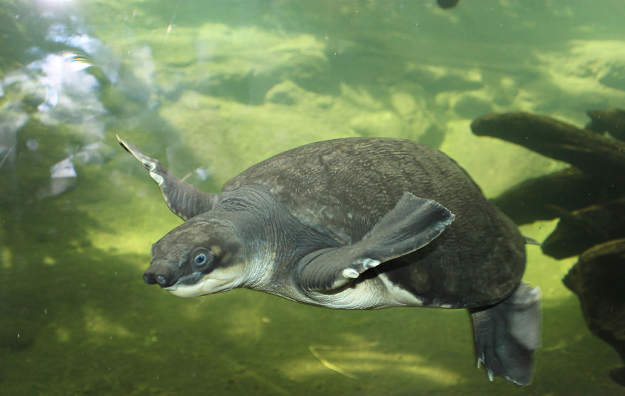 I Photograph Zoo Animals And Turn Them Into Surreal Images I Photograph Zoo Animals And Turn Them Into Surreal Images