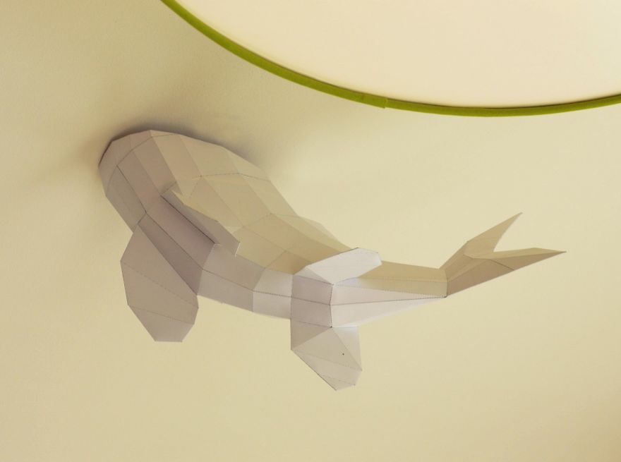 Ceiling Installation Of Koi Fishes Diving In And Out Of The Ceiling Ceiling Installation Of Koi Fishes Diving In And Out Of The Ceiling