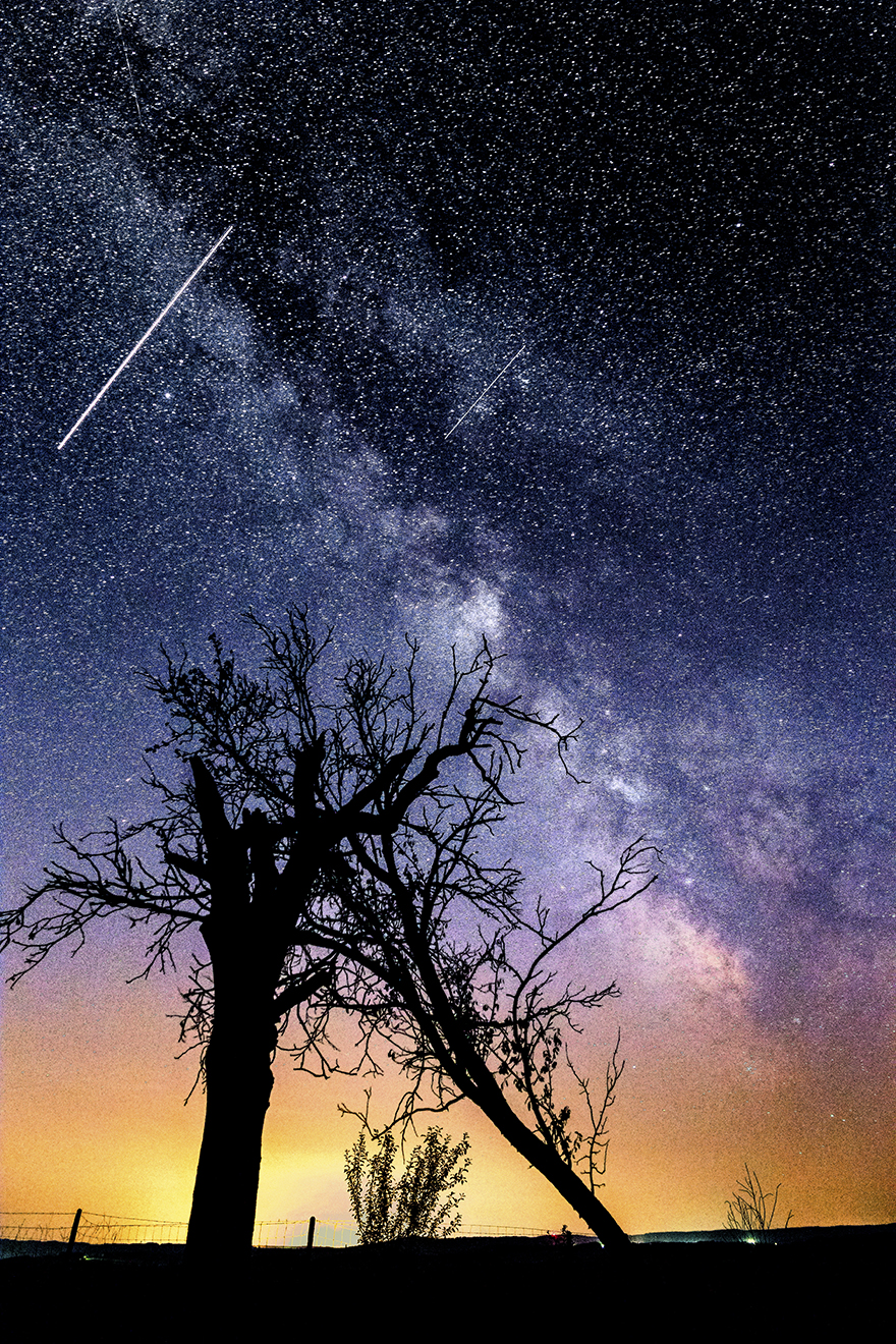 While Shooting Starry Skies I Realized How Small I Am On This Planet While Shooting Starry Skies I Realized How Small I Am On This Planet