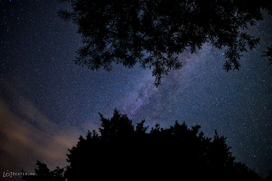 While Shooting Starry Skies I Realized How Small I Am On This Planet While Shooting Starry Skies I Realized How Small I Am On This Planet