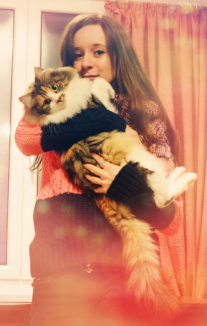 213 Of The Fluffiest Cats In The World 213 Of The Fluffiest Cats In The World